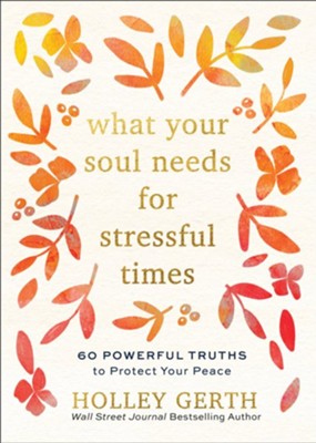 What Your Soul Needs for Stressful Times: 60 Powerful Truths to Protect ...