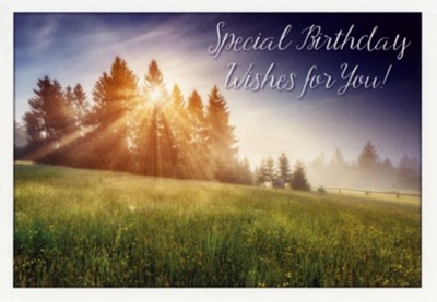Sunshine, Birthday Cards, Box of 12  - 