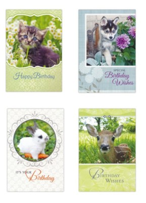 Favorite Friends, Birthday Cards, Box of 12  - 