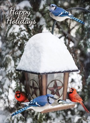 Birds Christmas Cards, Box of 12 (KJV)  - 
