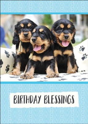 Birthday, Playful Puppies, Boxed cards (KJV)  - 
