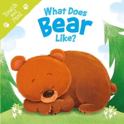 What Does Bear Like: Touch and Feel Board Book   - 