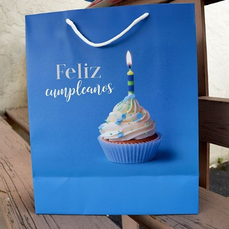 Feliz cumpleaños al bolso Noé de Louis Vuitton