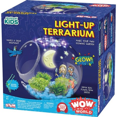 Wondery Kids Light-up Terrarium - Christianbook.com