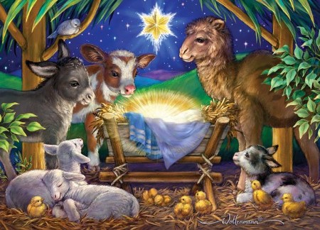 Boxed Christmas Manger Cards