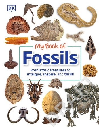 My Book of Fossils: 9780744049947 - Christianbook.com