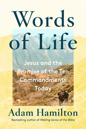 Words of Life: Seeing the Ten Commandments Through the Eyes of Jesus ...