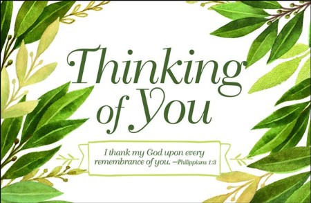 Thinking of You Postcards, Pack of 25 - Christianbook.com