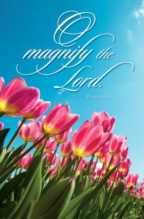 O Magnify the LORD (Psalm 34:4) Bulletins, 100 - Christianbook.com