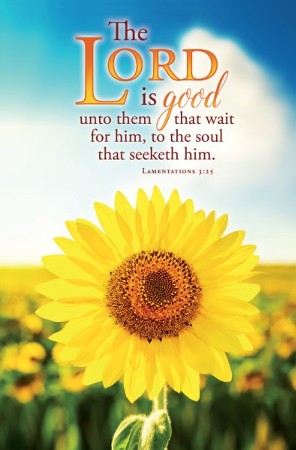 The Lord Is Good (Lamentations 3:25, KJV) Bulletins, 100 ...