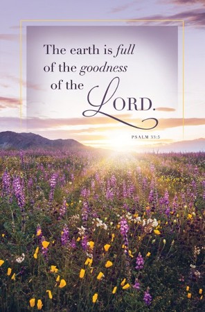 Goodness of the Lord (Psalm 33:5, KJV) Bulletins, 100 - Christianbook.com