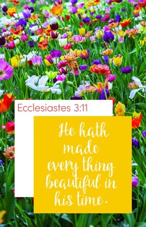 Every Thing Beautiful (Ecclesiastes 3:11, KJV) Bulletins, 100 ...