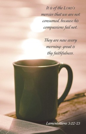 His Mercies (Lamentations 3:22-23, KJV) Bulletins, 100 - Christianbook.com