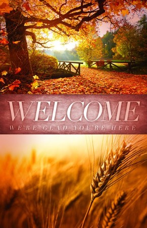 Welcome Creation Fall Bulletins, 100: 9781635109818 - Christianbook.com