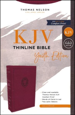 KJV, Thinline Bible Youth Edition, Leathersoft, Burgundy, Comfort Print ...