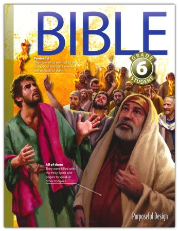 Bible: Grade 6 Student Textbook (3rd Edition): 9781583316375 ...