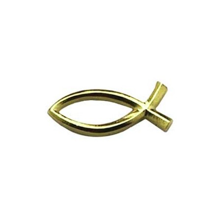 Ichthus Lapel Pin - Christianbook.com