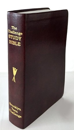 CEV Challenge Study Bible--imitation leather,burgundy: Edited By: Don ...