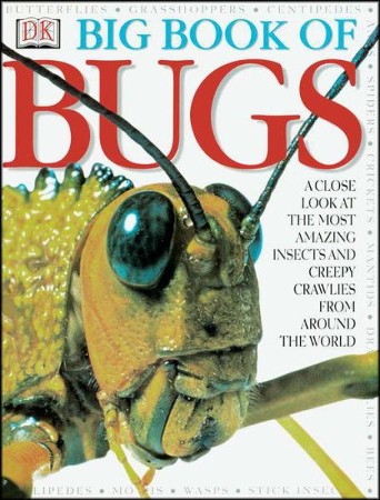 Big Book of Bugs: 9780789465207 - Christianbook.com