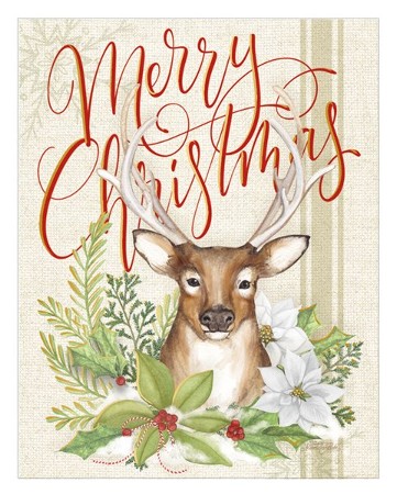 Deer Christmas, Boxed Christmas Cards, Set of 18: Nicole Tamarin ...