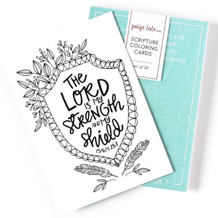 Beauty in the Bible: Christian Adult Coloring Books – Paige Tate and Co.