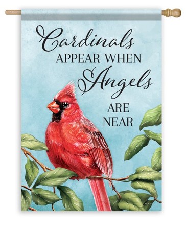 Cardinals Appear when Angels Are Near Graphic by OliCloud