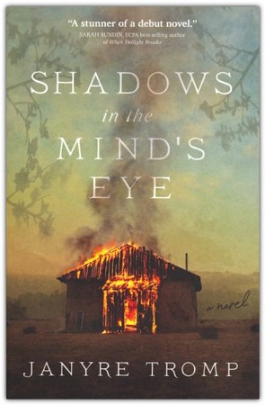 Shadows in the Mind's Eye: A Novel: Janyre Tromp: 9780825447396 ...