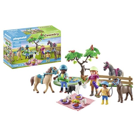 Playmobil Picnic with Pony Wagon