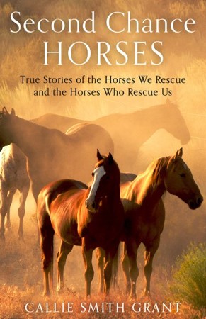 Second-Chance Horses: True Stories of the Horses We Rescue and the ...