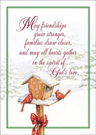 Birdhouse And Cardinals Christmas Card With Magnet, Set Of 18 