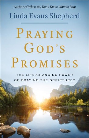 Praying God's Promises: The Life-Changing Power of Praying the ...