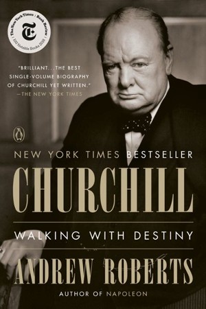 churchill walking with destiny review