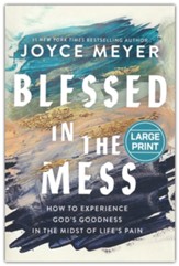 Blessed in the Mess, Large Print