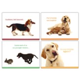 Happy Critters, Birthday Cards, Box of 12