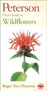 Peterson First Guide to Wildflowers