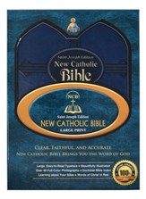 St. Joseph New Catholic Bible (Large Type)  Blue Imitation Leather