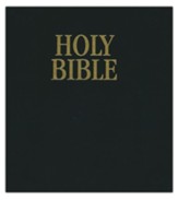 NIV Loose-Leaf Bible