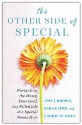 The Other Side of Special:  Navigating the Messy, Emotional, Joy-Filled Life of a Special Needs Mom