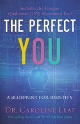 The Perfect You: A Blueprint for Identity - Slightly Imperfect