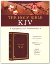 The Holy Bible KJV: Highlighting God's Promises to You--imitation leather, crimson and gold