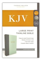 KJV, Thinline Bible, Large Print,  Cloth over Board, Gray/Green, Red Letter Edition
