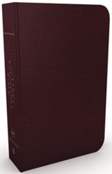 NKJV Vines Expository Bible--bonded leather, burgundy