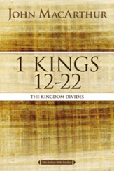 1 Kings 12 to 22: The Kingdom Divides - eBook