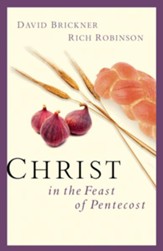Christ in the Feast of Pentecost - eBook