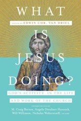 What Is Jesus Doing?: God's Activity in the Life and Work of the Church - eBook
