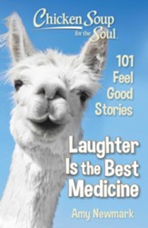 Chicken Soup for the Soul: I Can't Stop Laughing - eBook