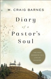 Diary of a Pastor's Soul: The Holy Moments in a Life of Ministry - eBook
