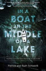 In a Boat in the Middle of a Lake: Trusting the God Who Meets Us in Our Storm - eBook