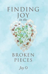 Finding Joy in the Broken Pieces - eBook