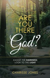 Are You There God?: Amidst the Darkness Look to the Light - eBook